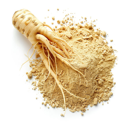 Ginseng illustration