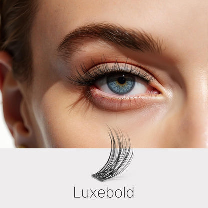 LuxeBold Lash Clusters Kit - Newbie's Five-Second Series DIY Eyelash Extensions